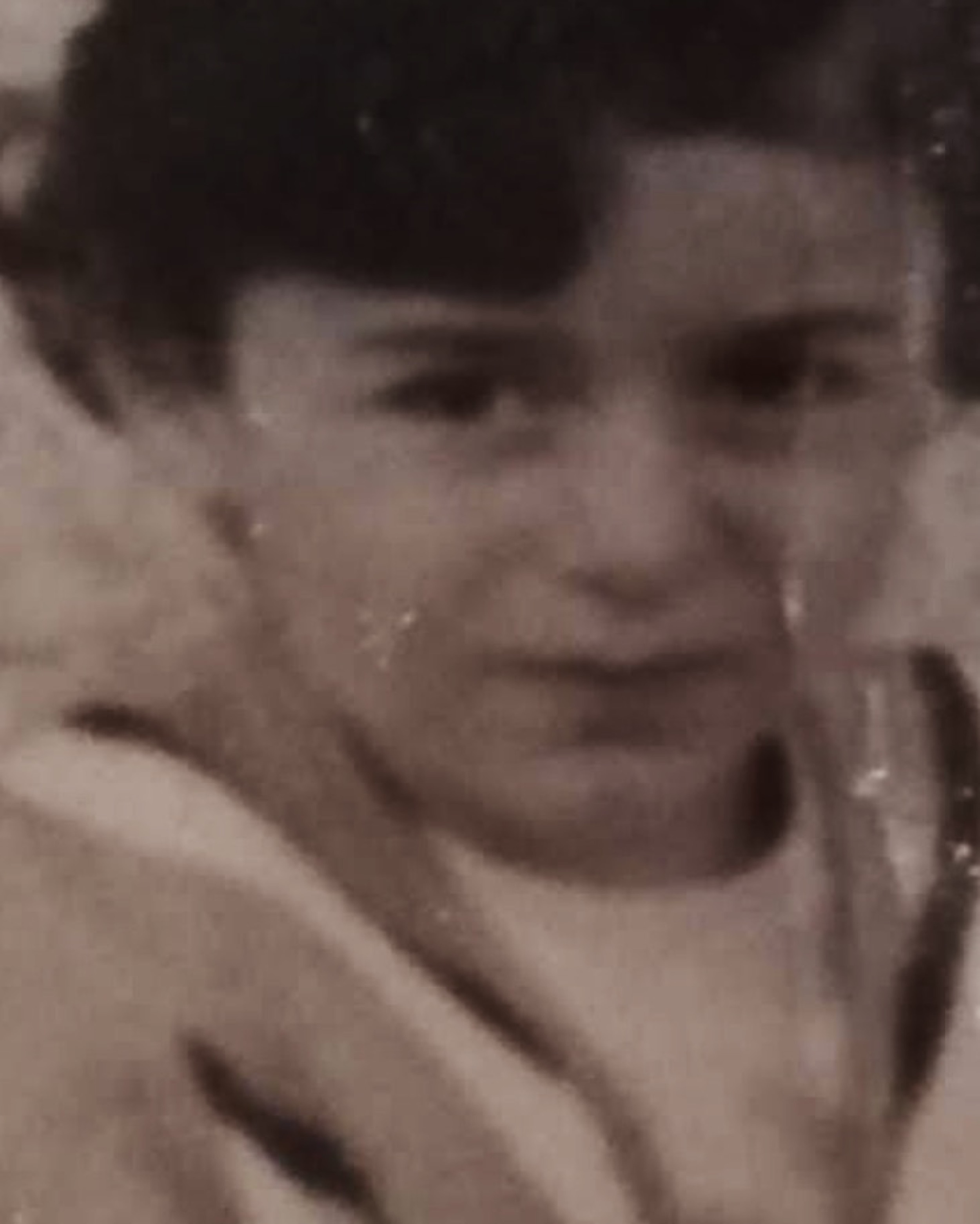 Marine-Gulbiani